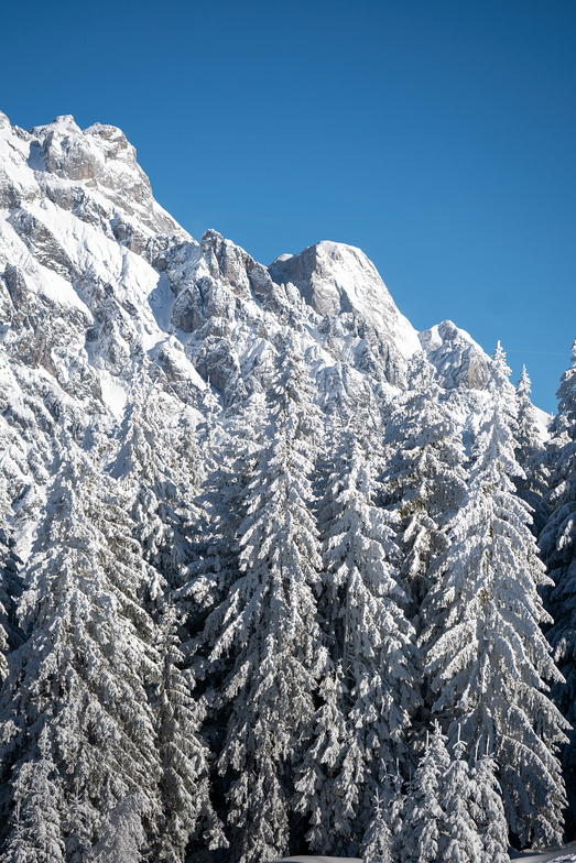 Christmas 2024!, Hochkönig