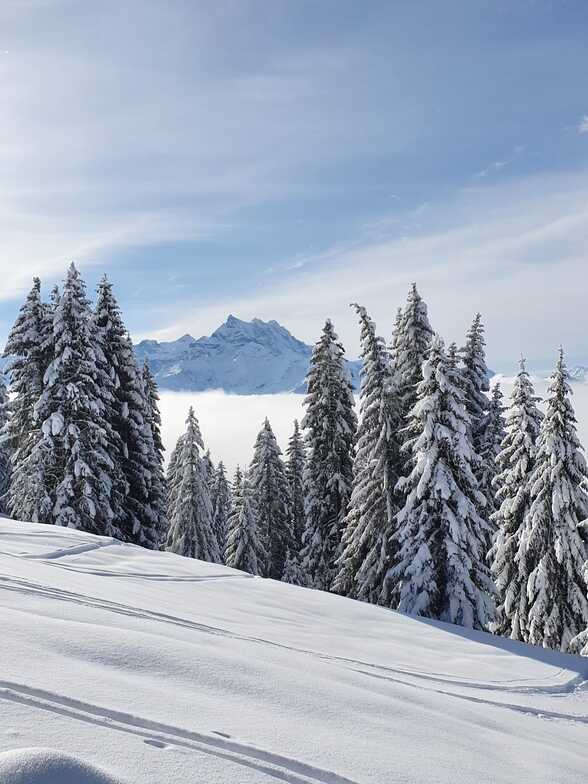 Snow over villars