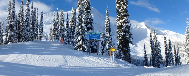 Lizard and Cedar Bowls, Fernie