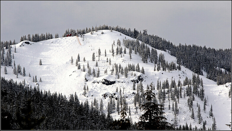 Upper Bowl, Mt Hood Ski Bowl