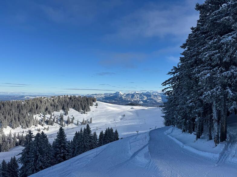 No Ski area matches Thollon for views, Thollon les Mémises