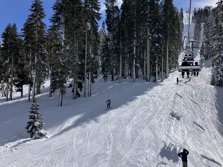 Glade of snow, Sugar Bowl