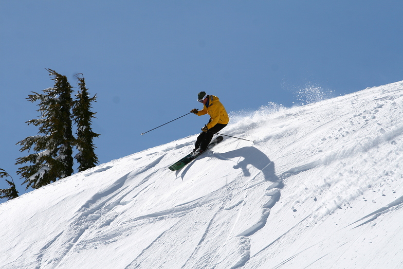 Upper Elevator, Mt Hood Meadows