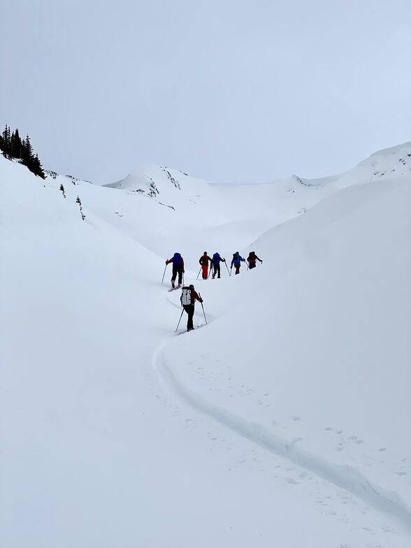 ski touring, Purcell Mountain Lodge