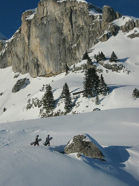 Leysin