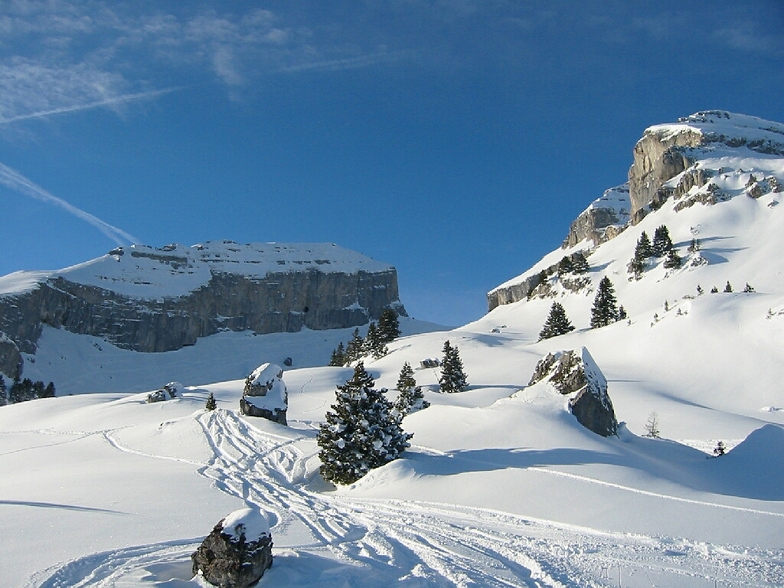 Leysin