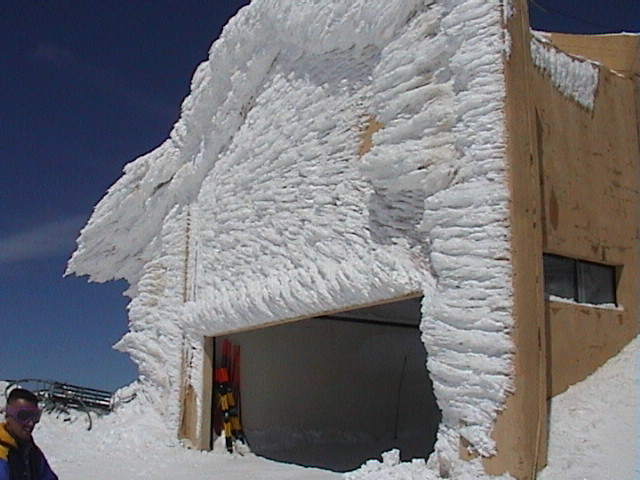 Great white plaster, Mzaar Ski Resort