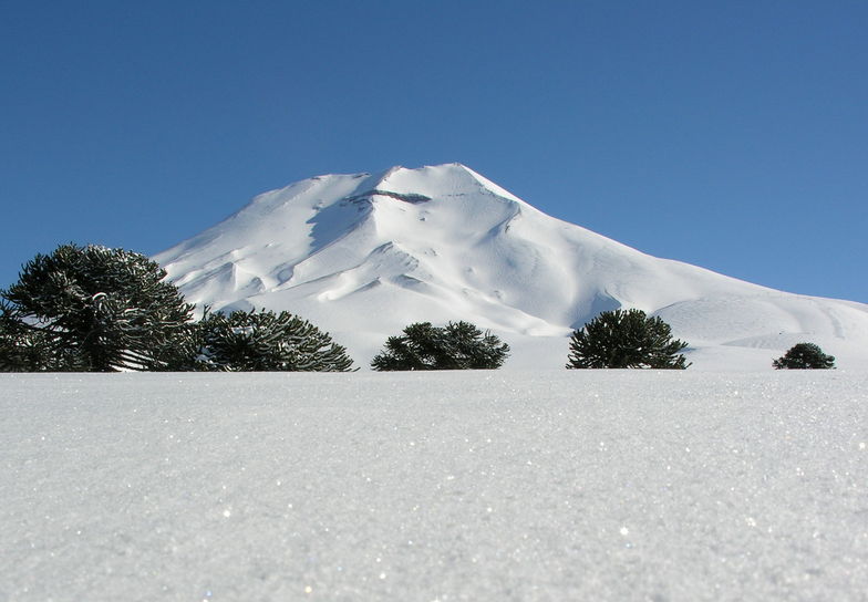 Corralco Lonquimay, Nevados de Chillan