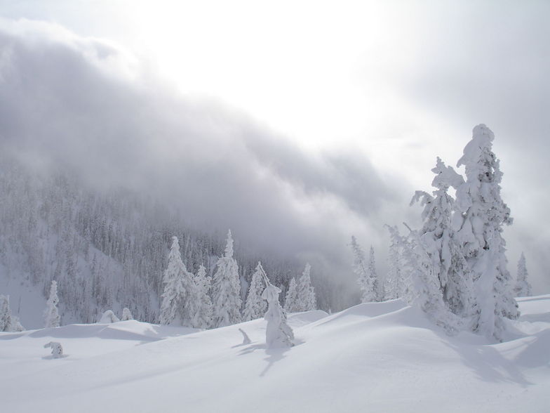 Freshies, Fernie