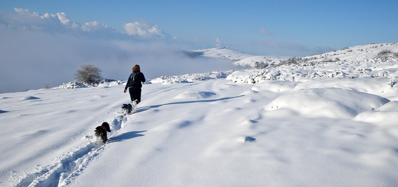 Mendip Hills, Somerset