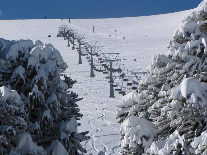 Las Araucarias, full of powder...