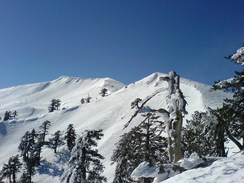 Vasilitsa Top of Mountain (2150m)