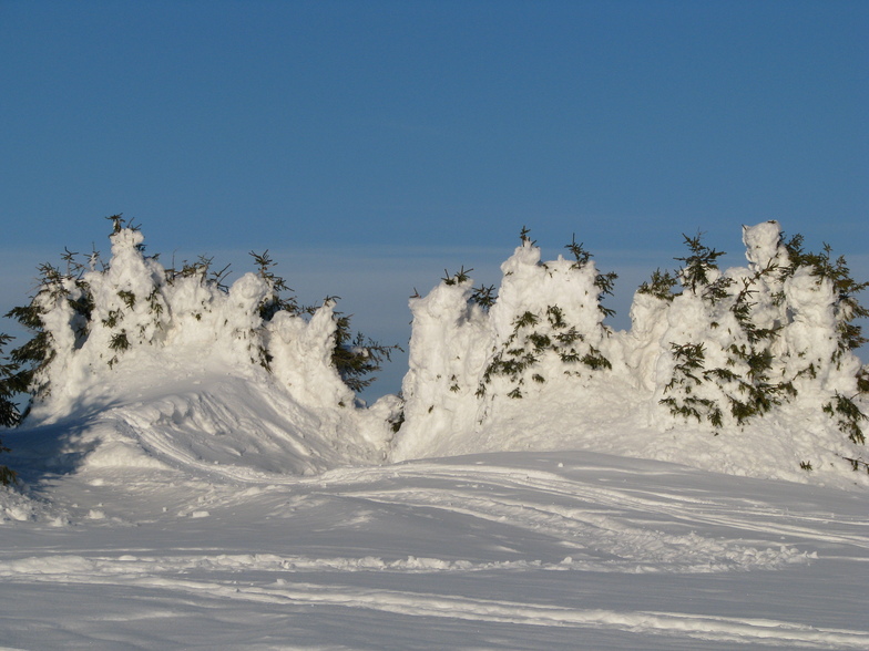 TONS of snow, Harghita Mădăraş