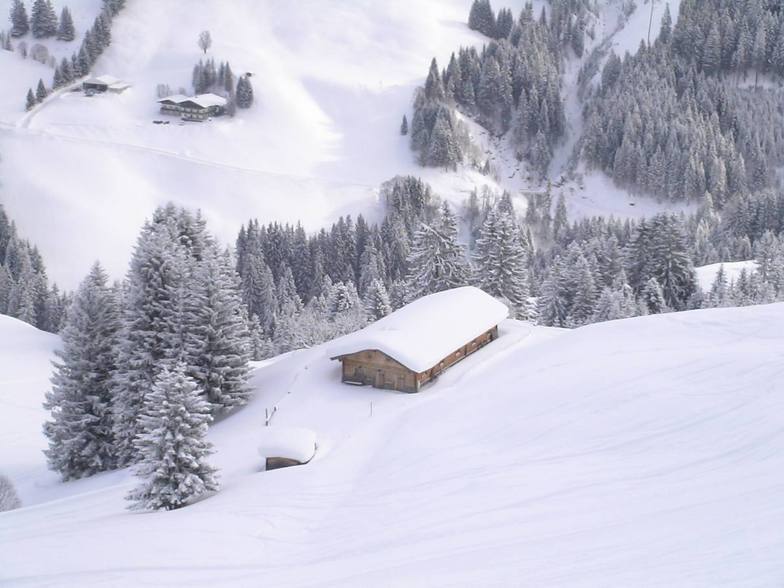 Zwölferkogel, Saalbach Hinterglemm