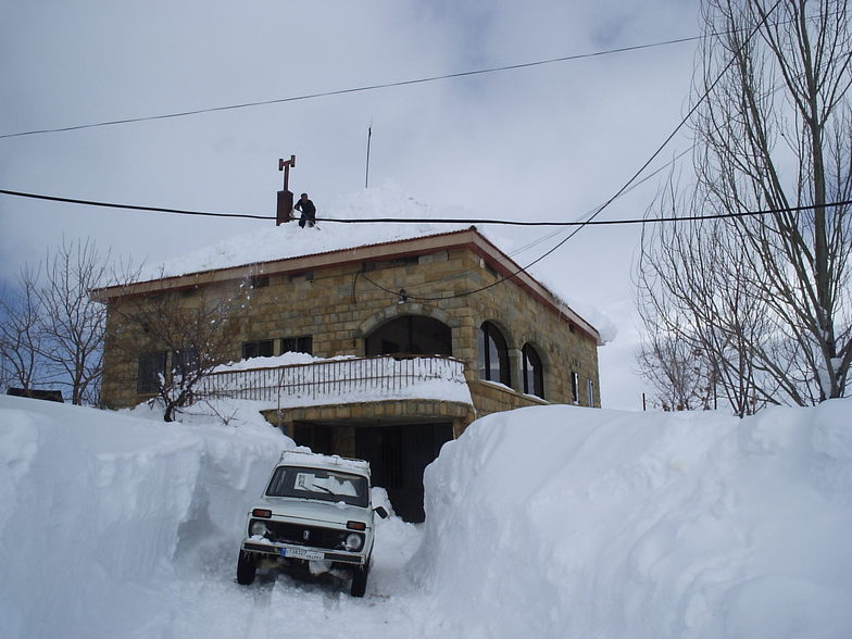 Après la tempête....., Cedars