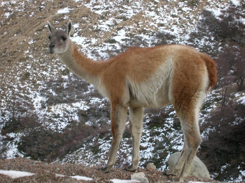 La Hoya