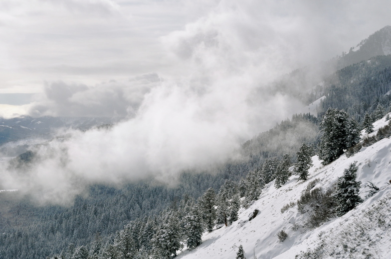 JH Gondola, Jackson Hole