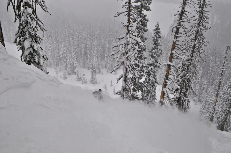 Powder, Mt Hood Meadows