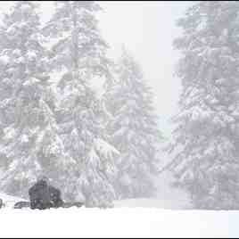 Mount Seymour BC, Snow, Mt Seymour