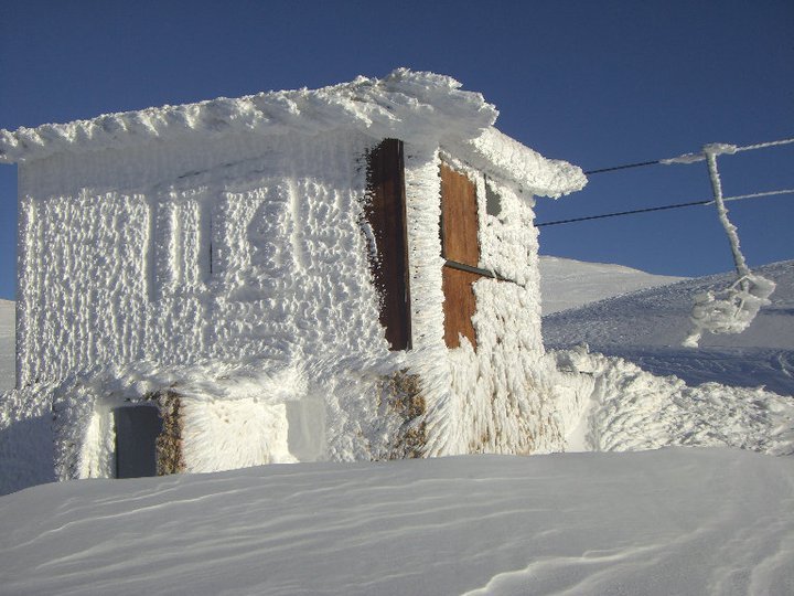 arrivée 20, Cedars