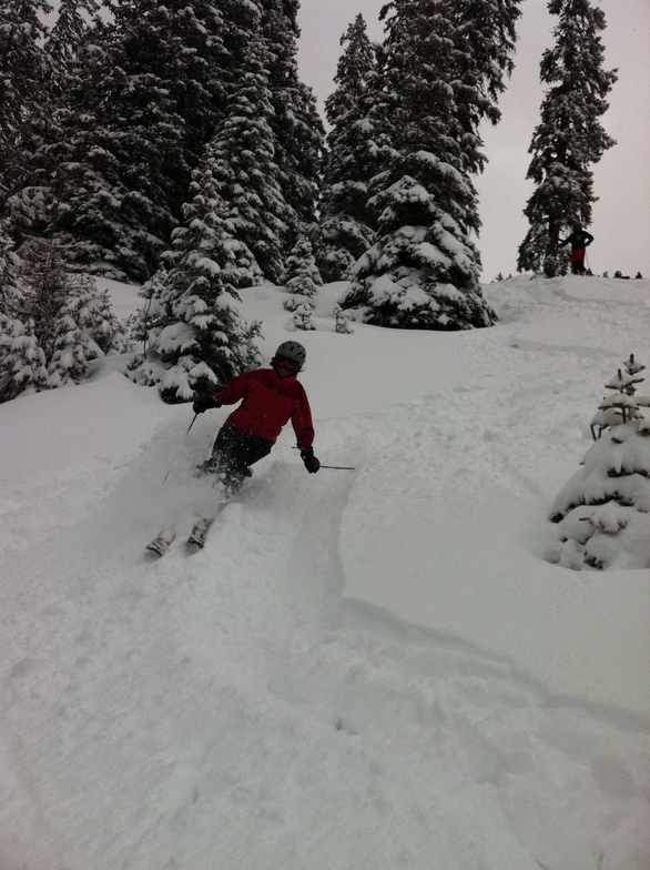 Gabby Shanahan in the trees above Schiefa, Davos