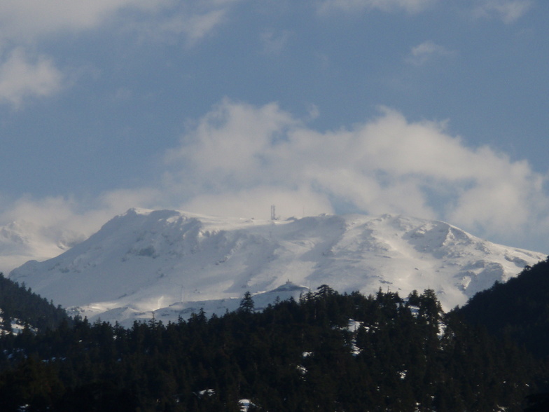 FTEROLAKA, Mount Parnassos