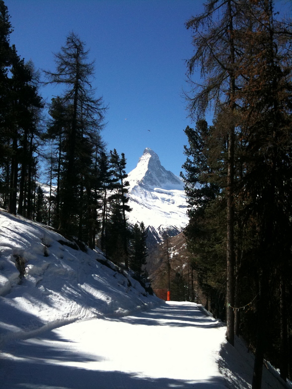 One last view !, Zermatt