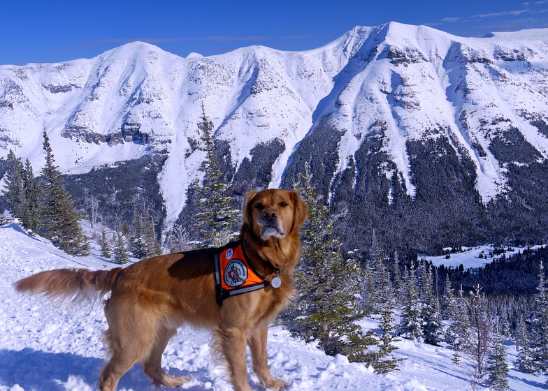 Huck with Barnaby Ridge, Castle Mountain Resort