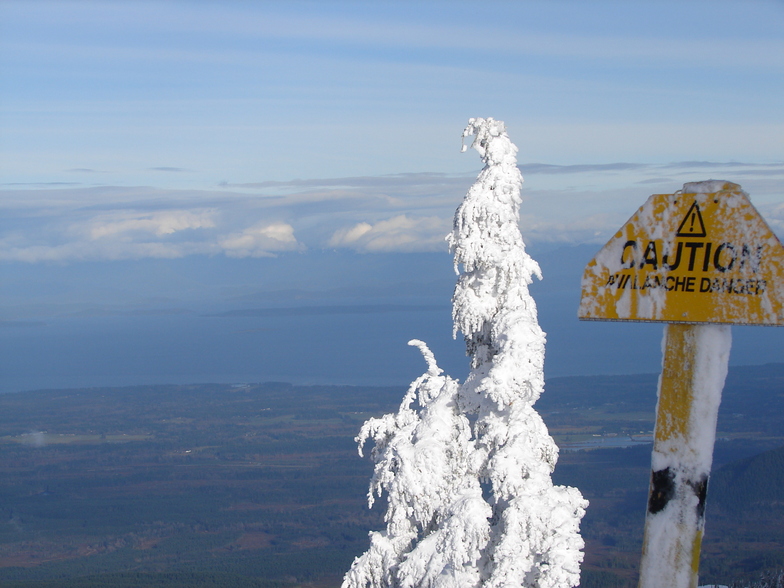 Mount Washington view