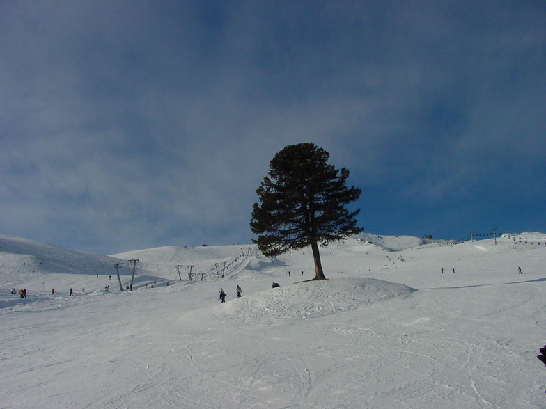 Hochzillertal Kaltenbach, Hochzillertal-Kaltenbach