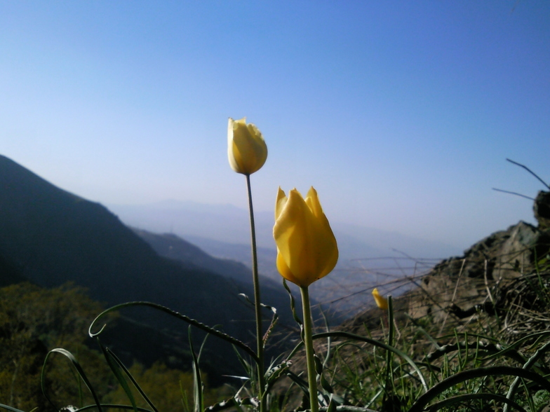 زيباييهاي طبيعت, Tochal