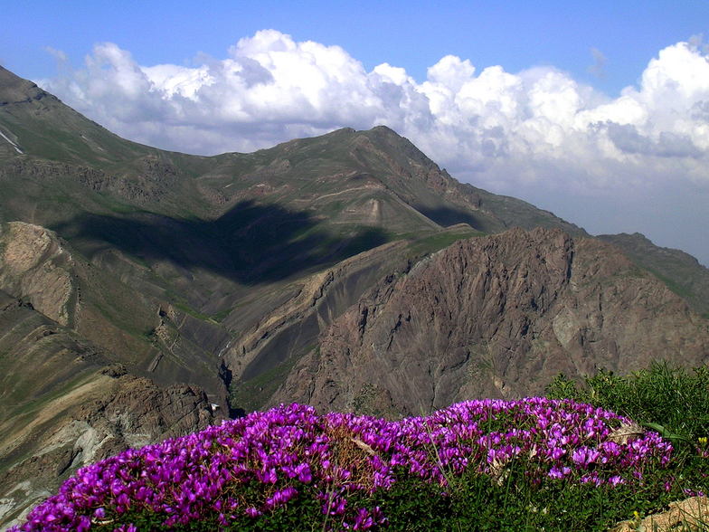 kolak chaal, Tochal