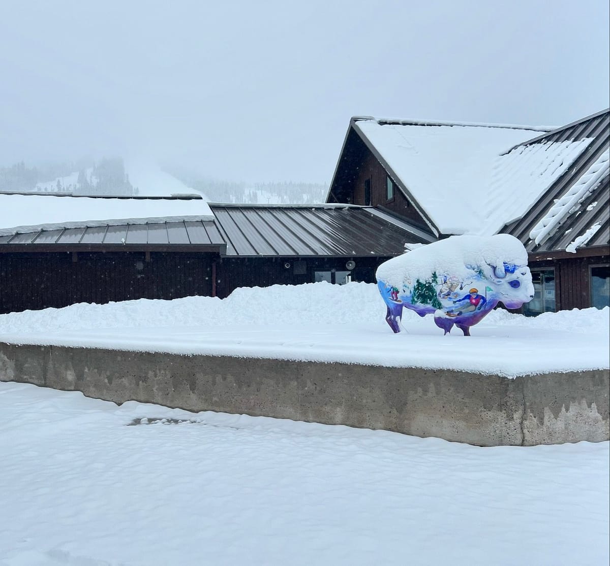 Snow in Summer in USA