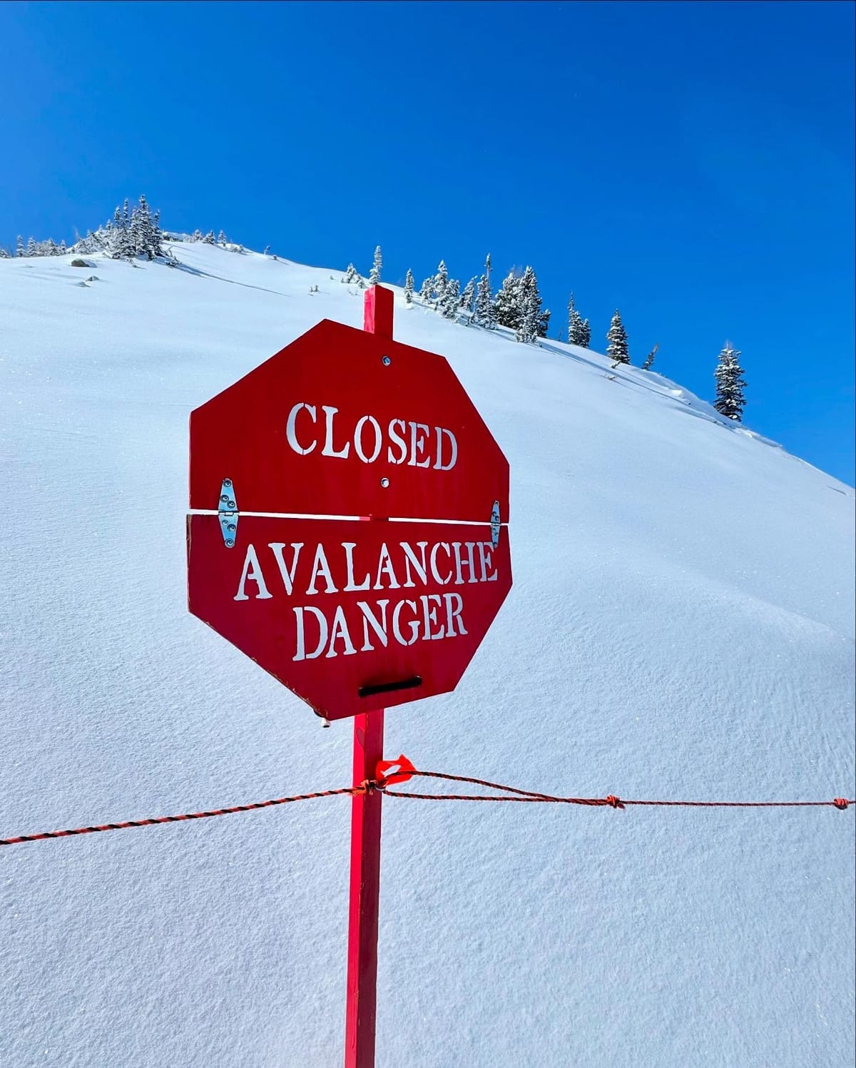 Maximum Caution Urged in The Alps Following Avalanche Deaths