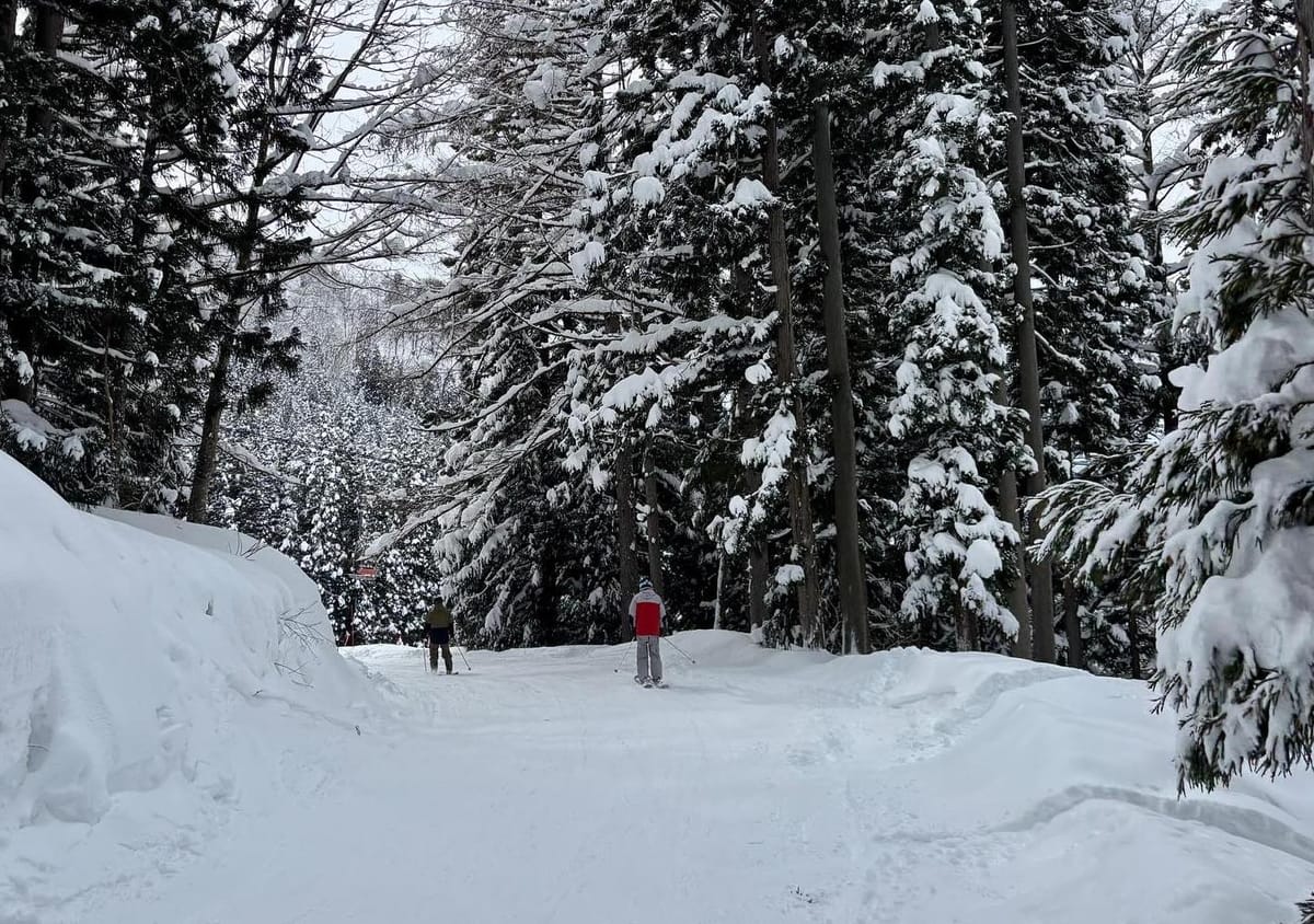 Japan's Snowpack Update: Record-Setting Depths & Fresh Powder Ahead