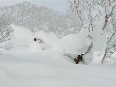 Deepest Snow In Japan Passes 7 Metres (23 Feet)